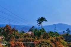 IMG-20250131-WA0128